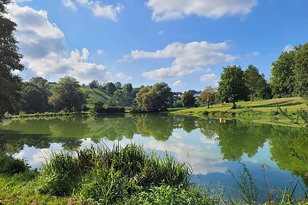Bechthaler Weiher Ein Teich mit grüner Vegetation und Bäumen spiegelt sich im Wasser, unter blauem Himmel mit Wolken.